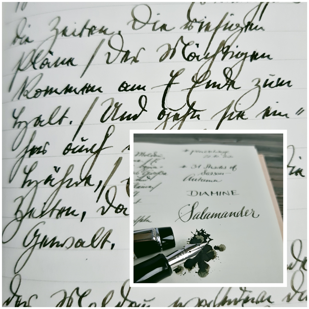 2020 10 22 31cos-a Diamine Salamander 2 PX.jpg
