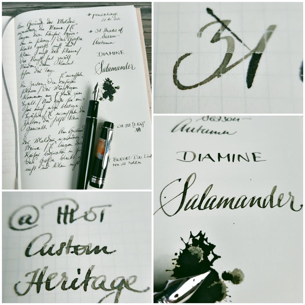 2020 10 22 31cos-a Diamine Salamander 3 PX.jpg