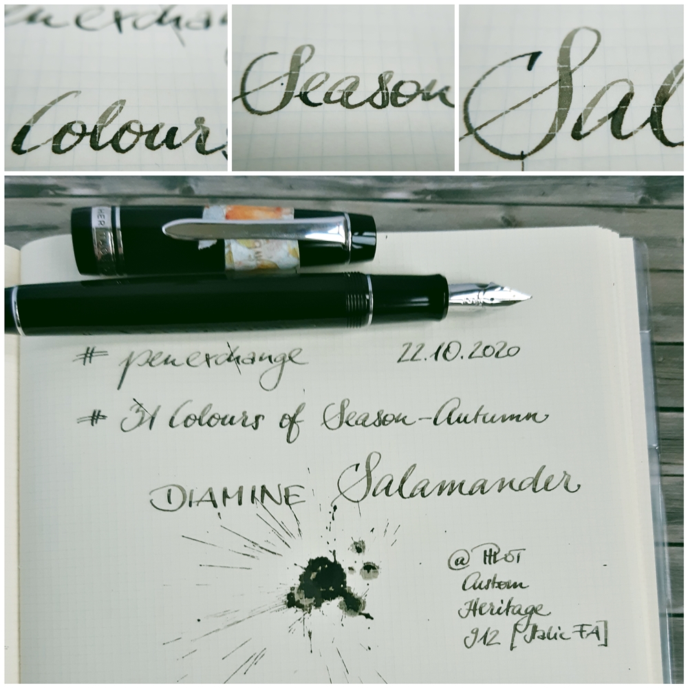 2020 10 22 31cos-a Diamine Salamander 4 PX.jpg