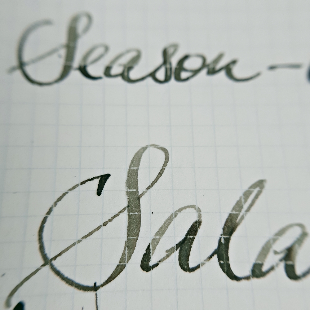 2020 10 22 31cos-a Diamine Salamander ft PX.jpg