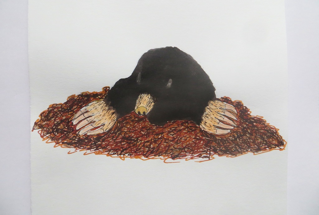 24.10.2020 Inktober DIG IMG_0255.jpg