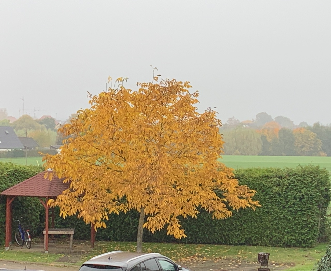 IMG_1162.jpeg