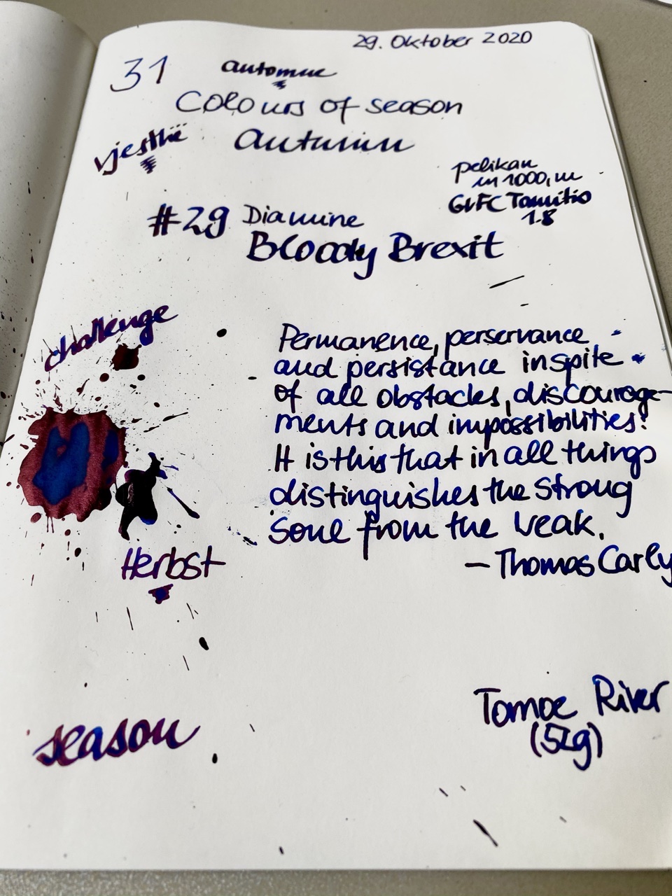 29 Diamine Bloody Brexit