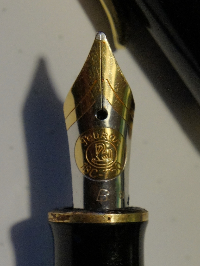 Pelikan 1.JPG