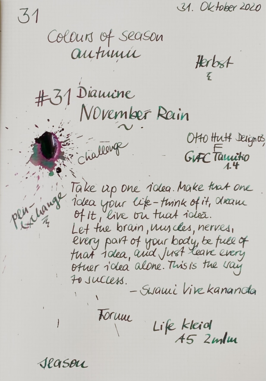 31 Diamine November Rain