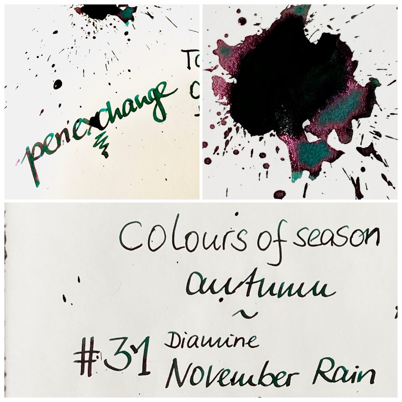 31 Diamine November Rain