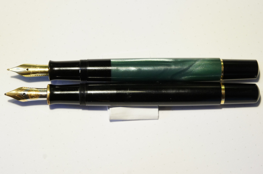 Pelikan 3.JPG