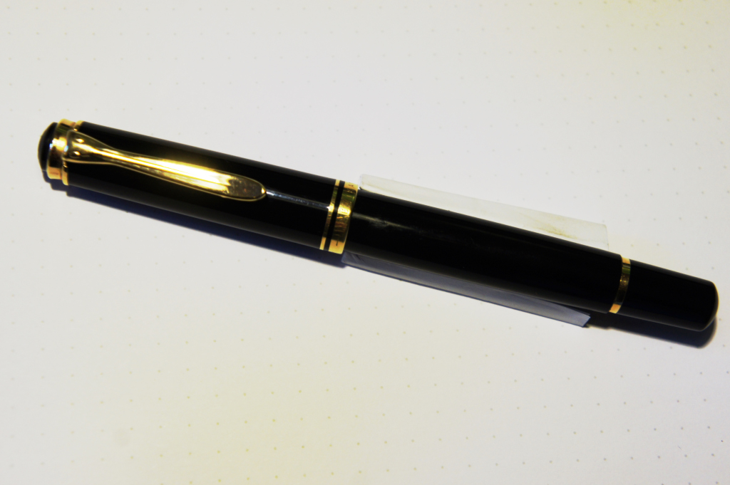 Pelikan 4.JPG
