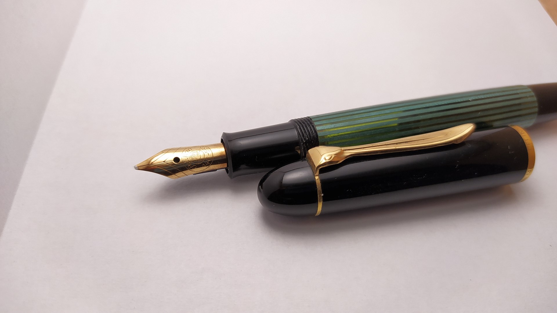 Pelikan140_OM_01 (Large).jpg