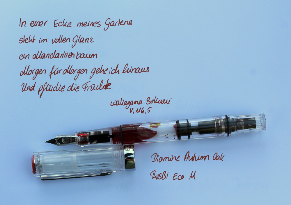 TWSBI_Eco_M.jpg
