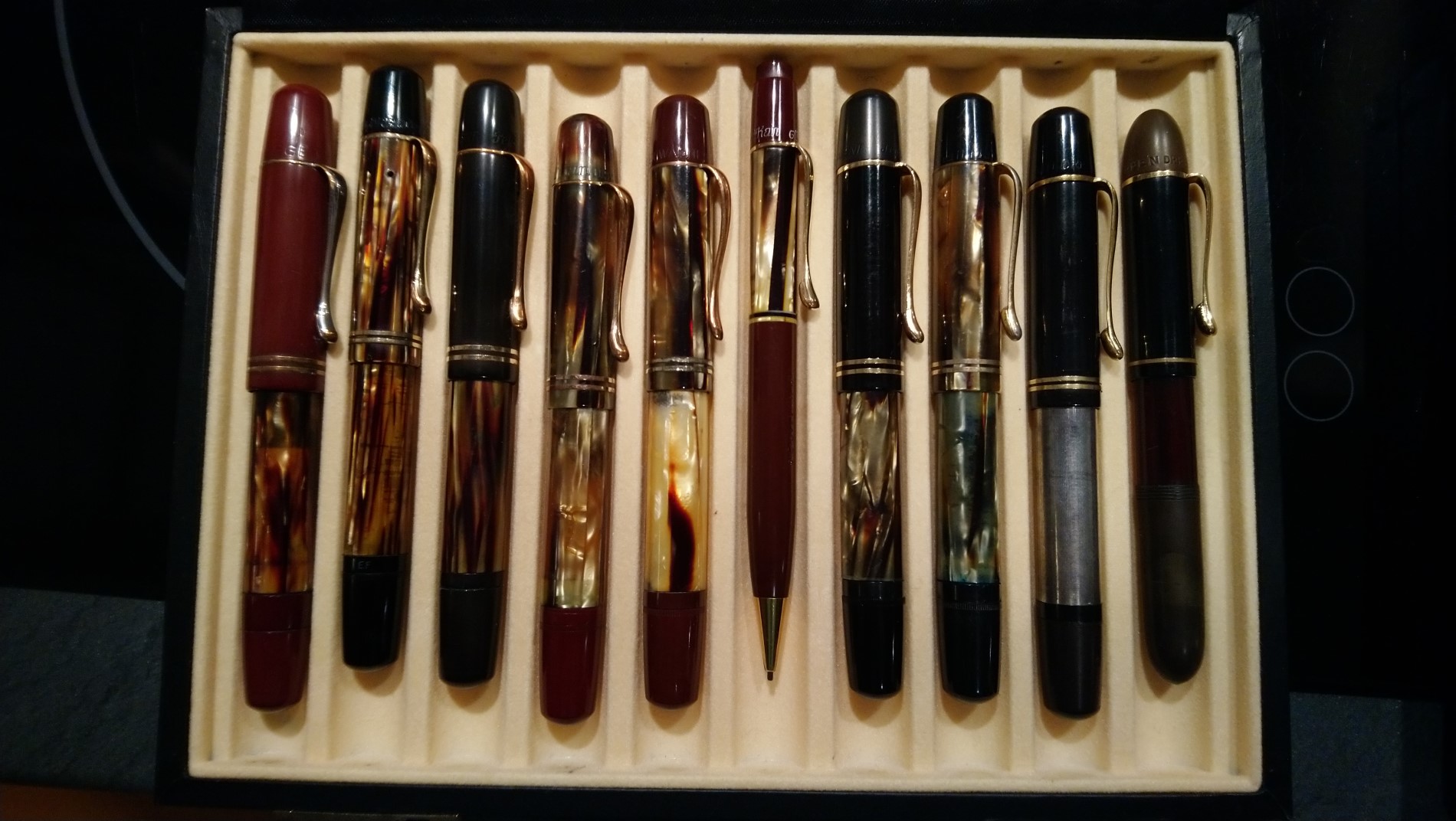 Pelikan Magnum, Tortoises et al_k.jpg