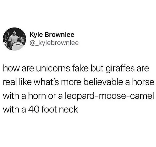 giraffe.jpeg