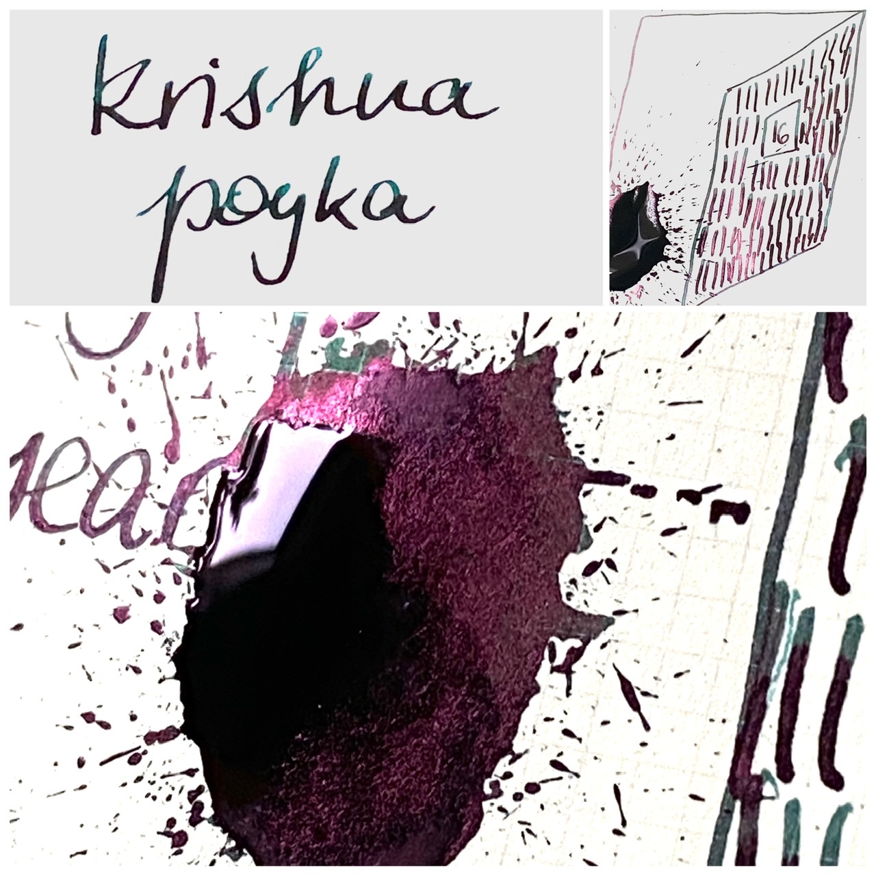 #16 Krishna Poyka
