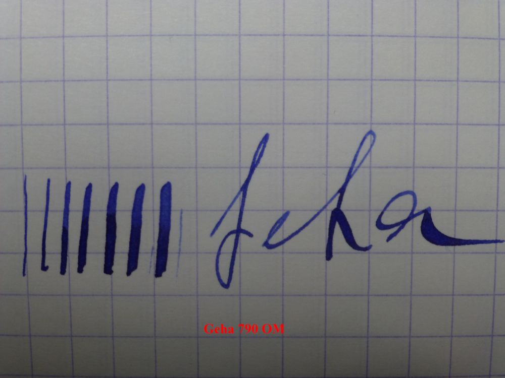 P1000731.jpg