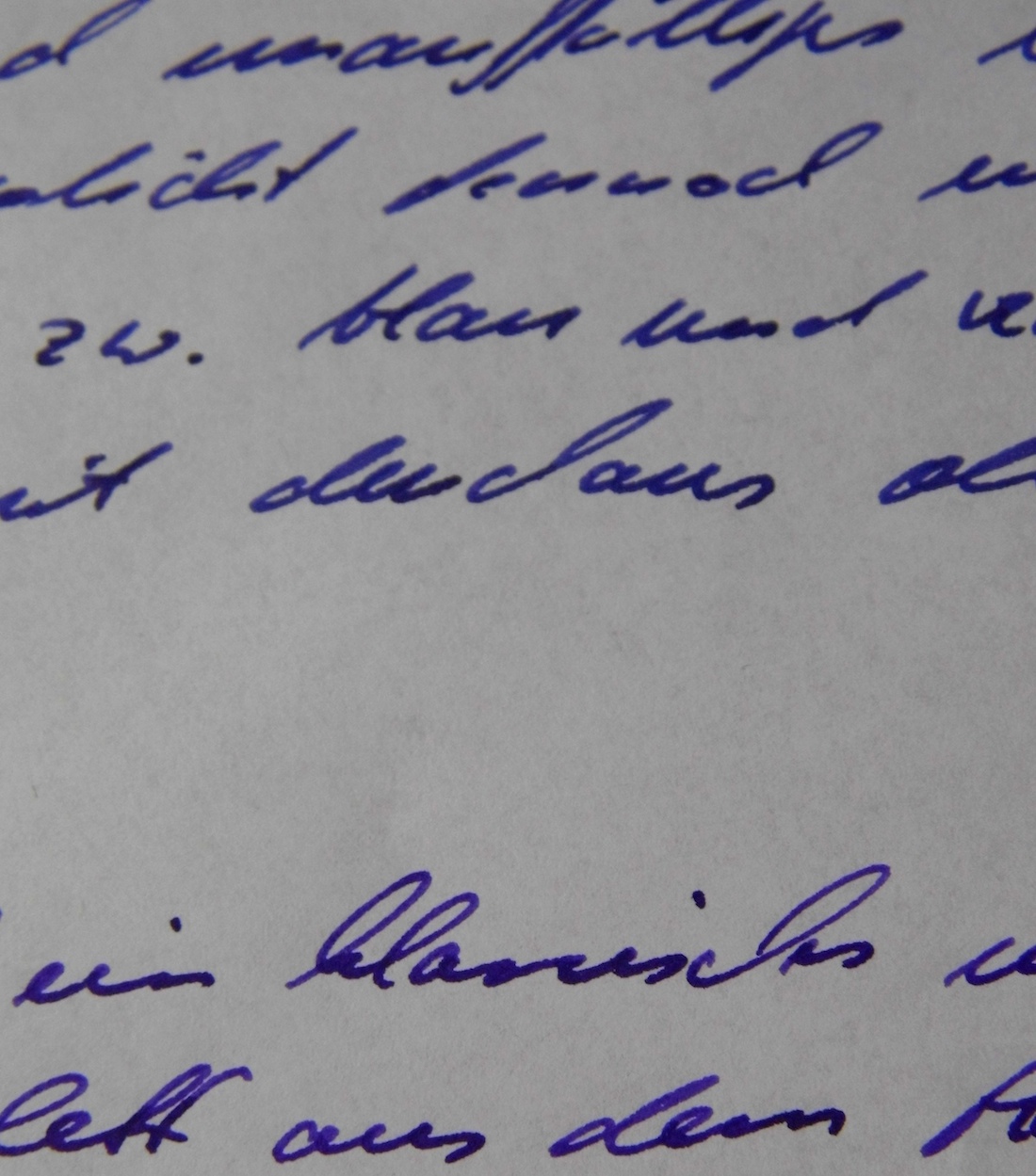diamine_bilberry_makro.jpg