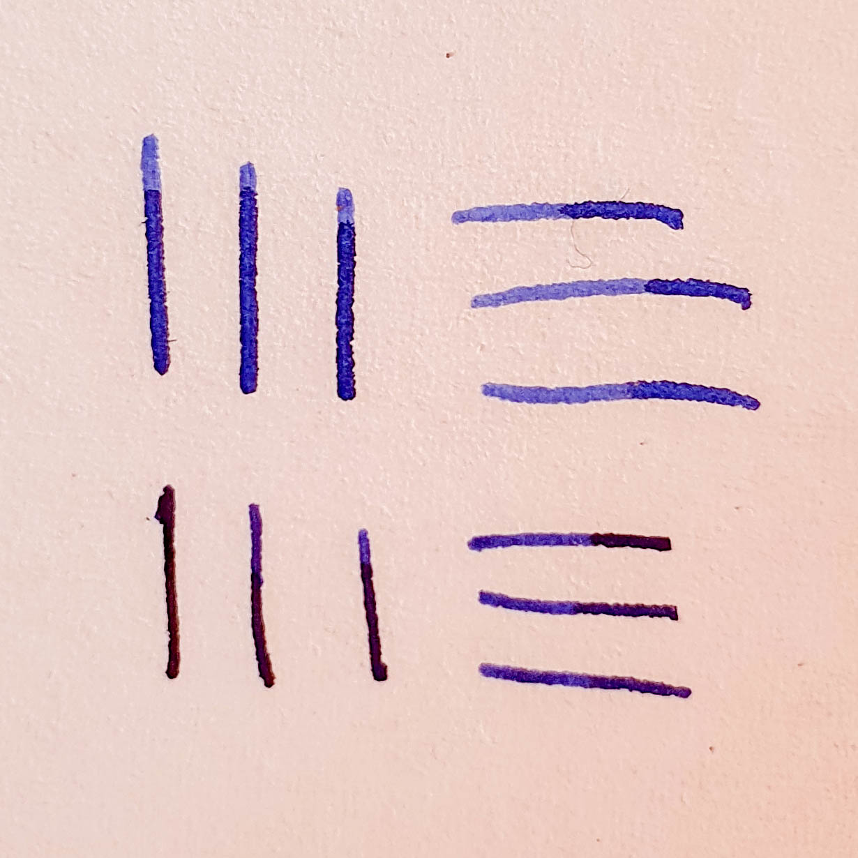 20210228_154835.jpg