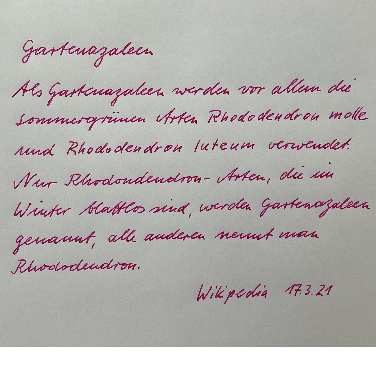 85136778-8B5E-480A-9B8F-5AC8E35A3CF9.jpeg