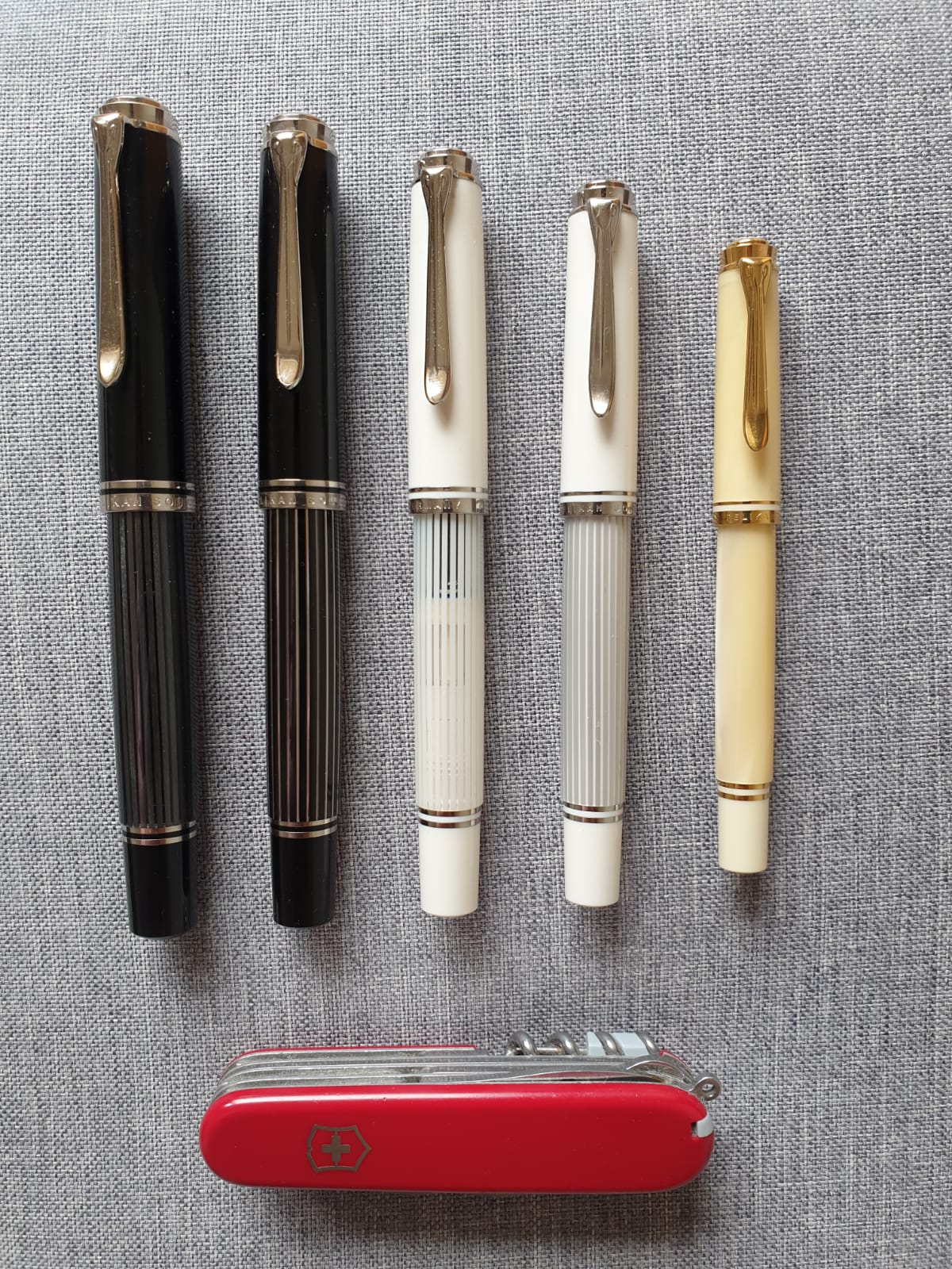 Eine-Pelikan-Familie.jpg