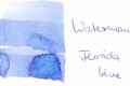 Waterman Florida blue.jpg