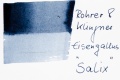 Rohrer Klingner Eisengallus Salix.jpg